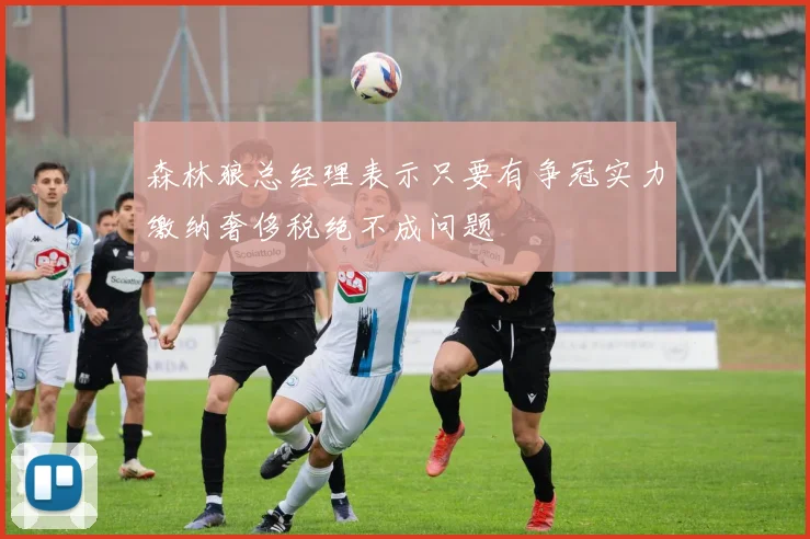 森林狼总经理表示只要有争冠实力缴纳奢侈税绝不成问题