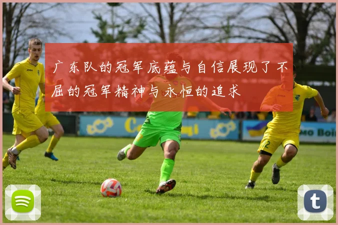 广东队的冠军底蕴与自信展现了不屈的冠军精神与永恒的追求