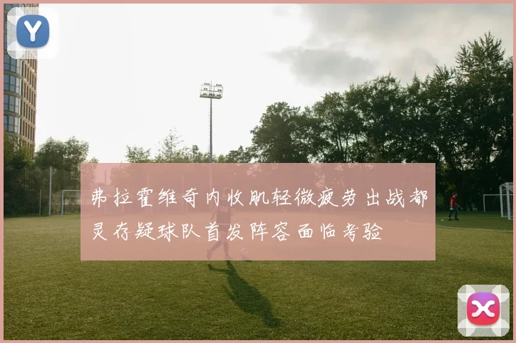 弗拉霍维奇内收肌轻微疲劳出战都灵存疑球队首发阵容面临考验